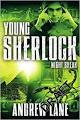 Night Break book cover
