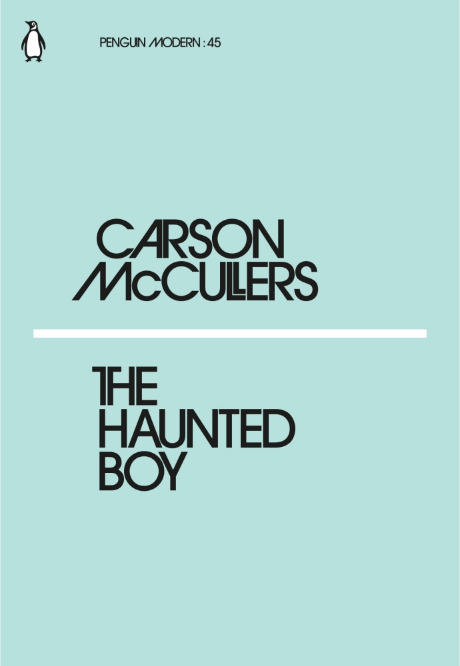 The Haunted Boy book cover