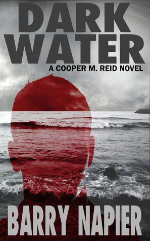 Dark Water book cover