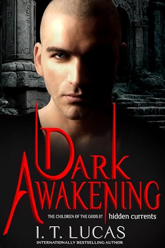 Dark Awakening book cover