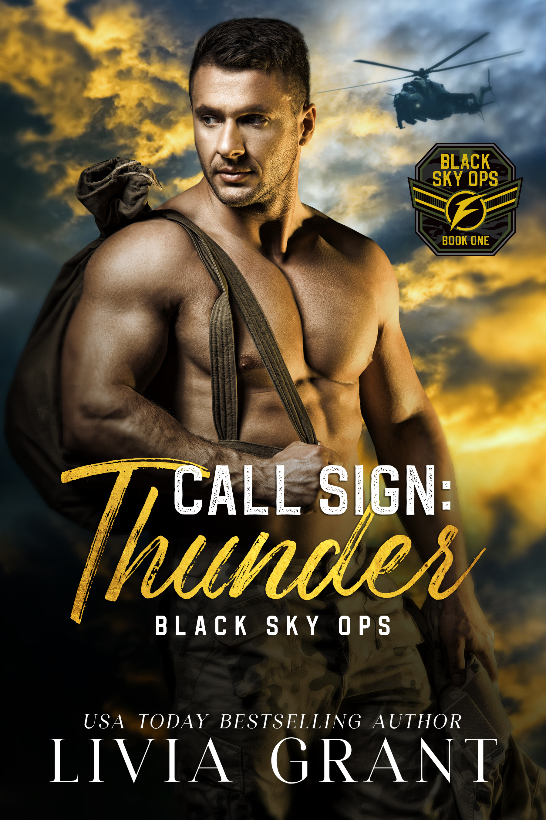 Call Sign book cover