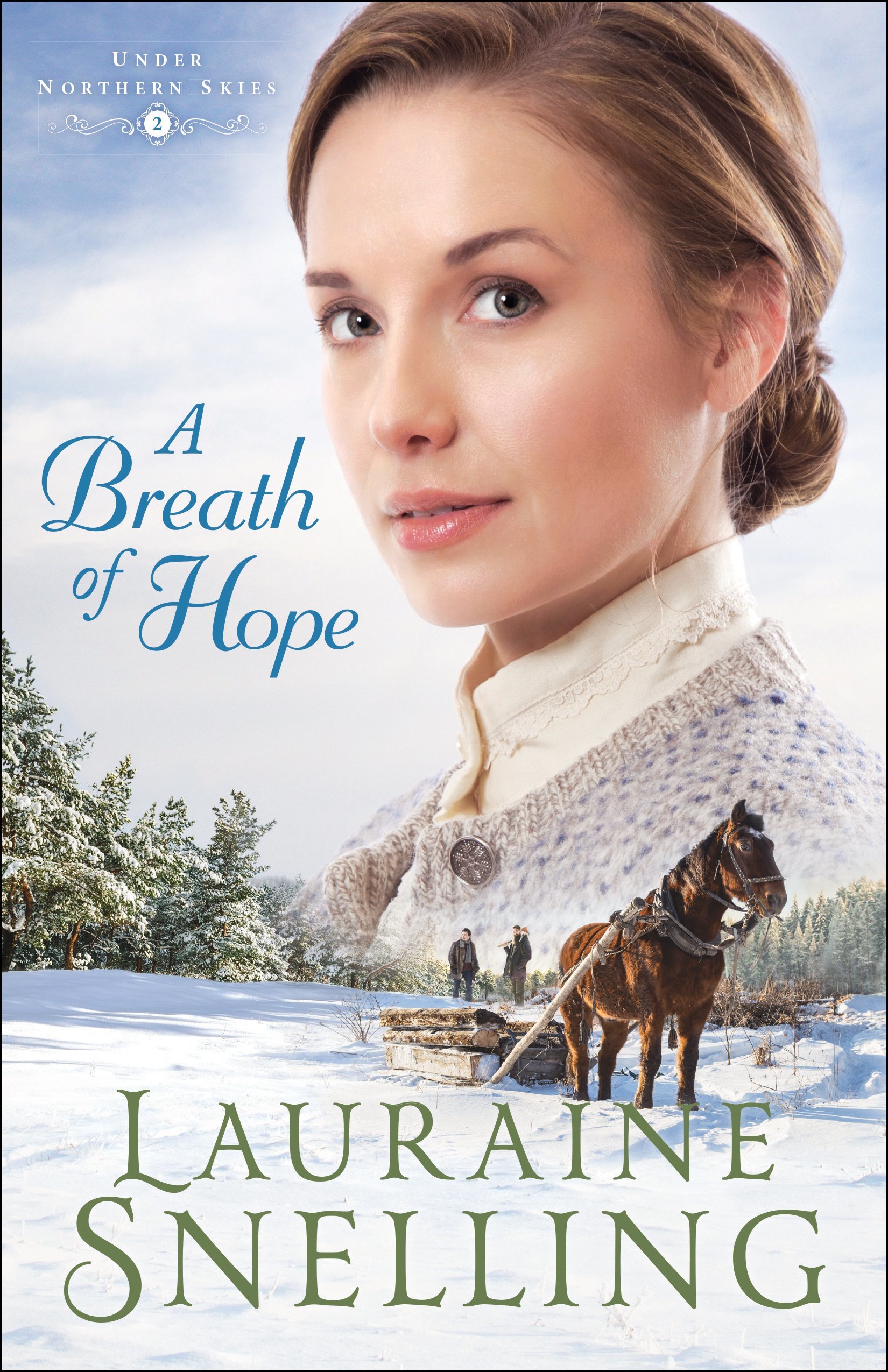 Under Northern Skies book cover 2