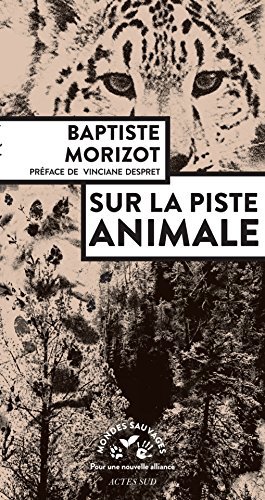 On the Animal Trail book cover