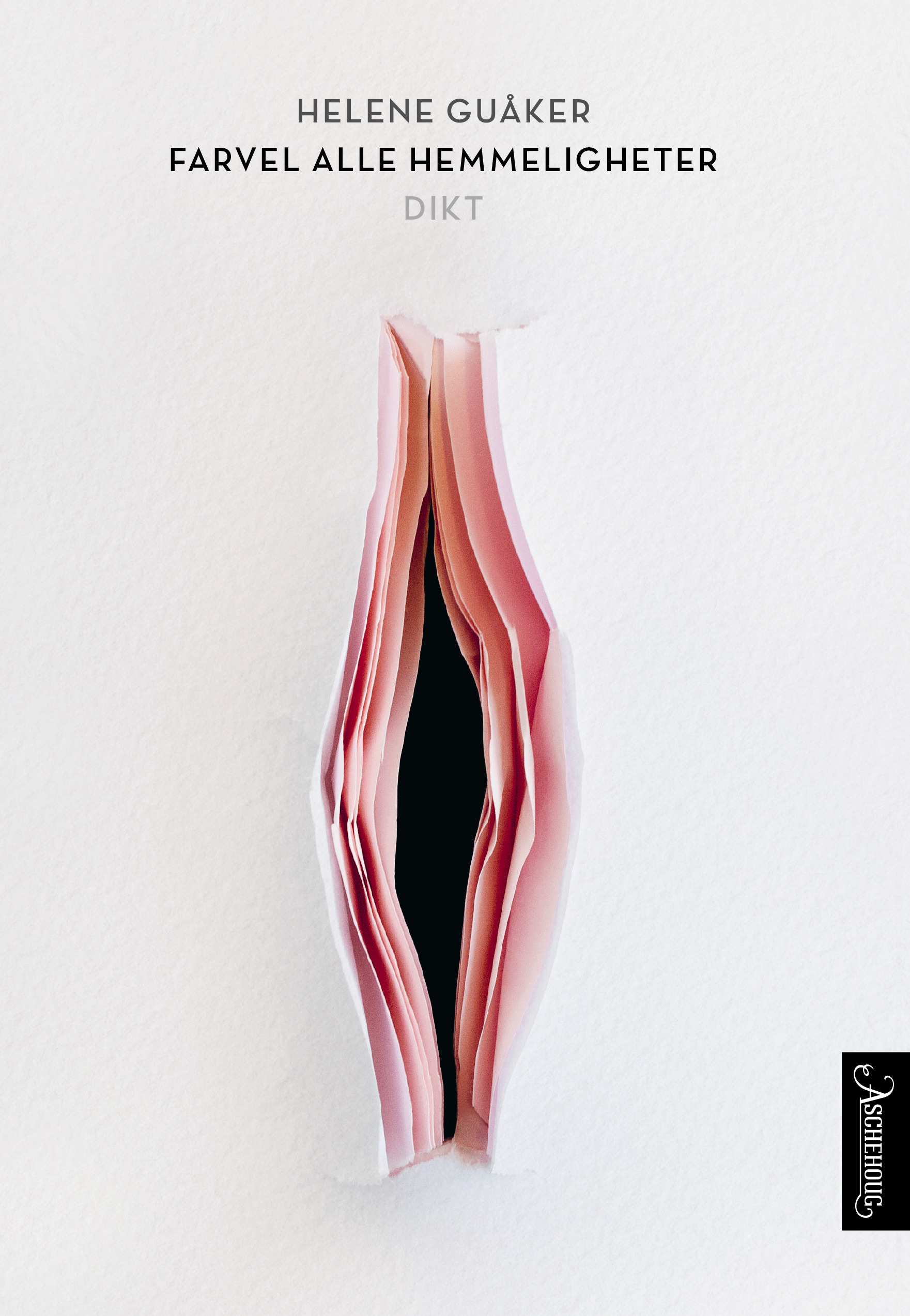 Farvel alle hemmeligheter book cover