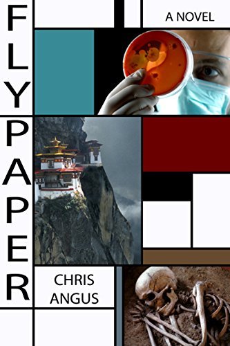 Flypaper book cover