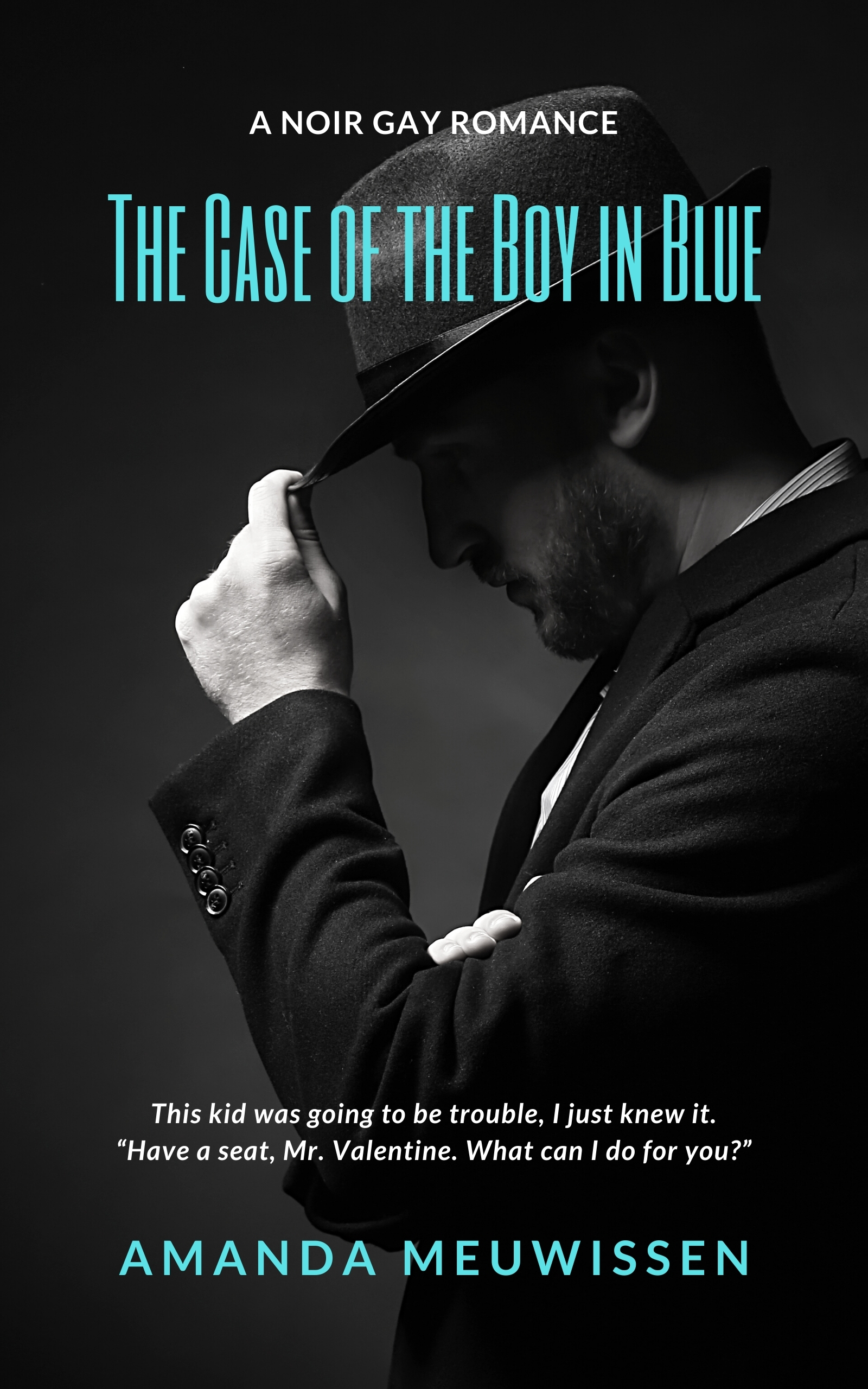 The Case of the Boy in Blue book cover