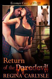 Delight, Texas book cover 2