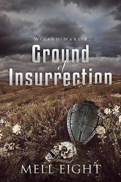 Wizard Wars book cover 1