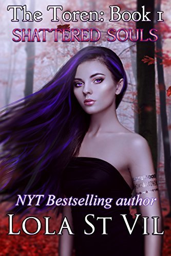 The Toren book cover 1