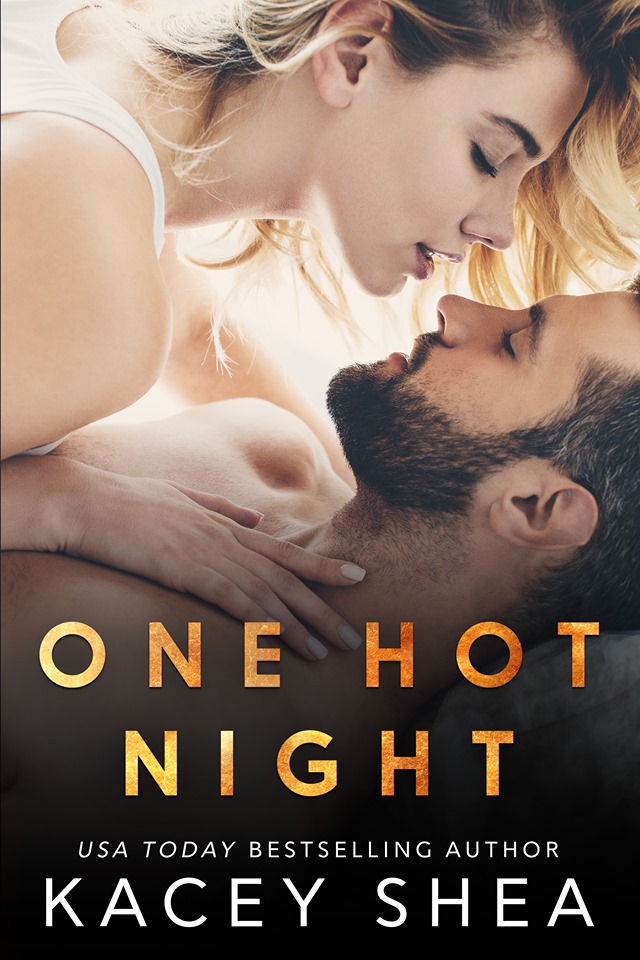 One Hot Night book cover