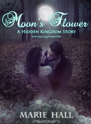 Dark Princess Kingdom book cover 1