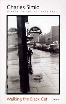 Walking The Black Cat book cover