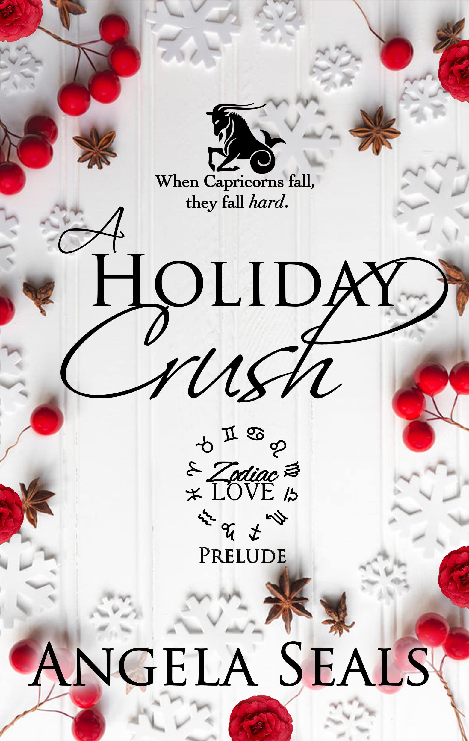 A Holiday Crush book cover