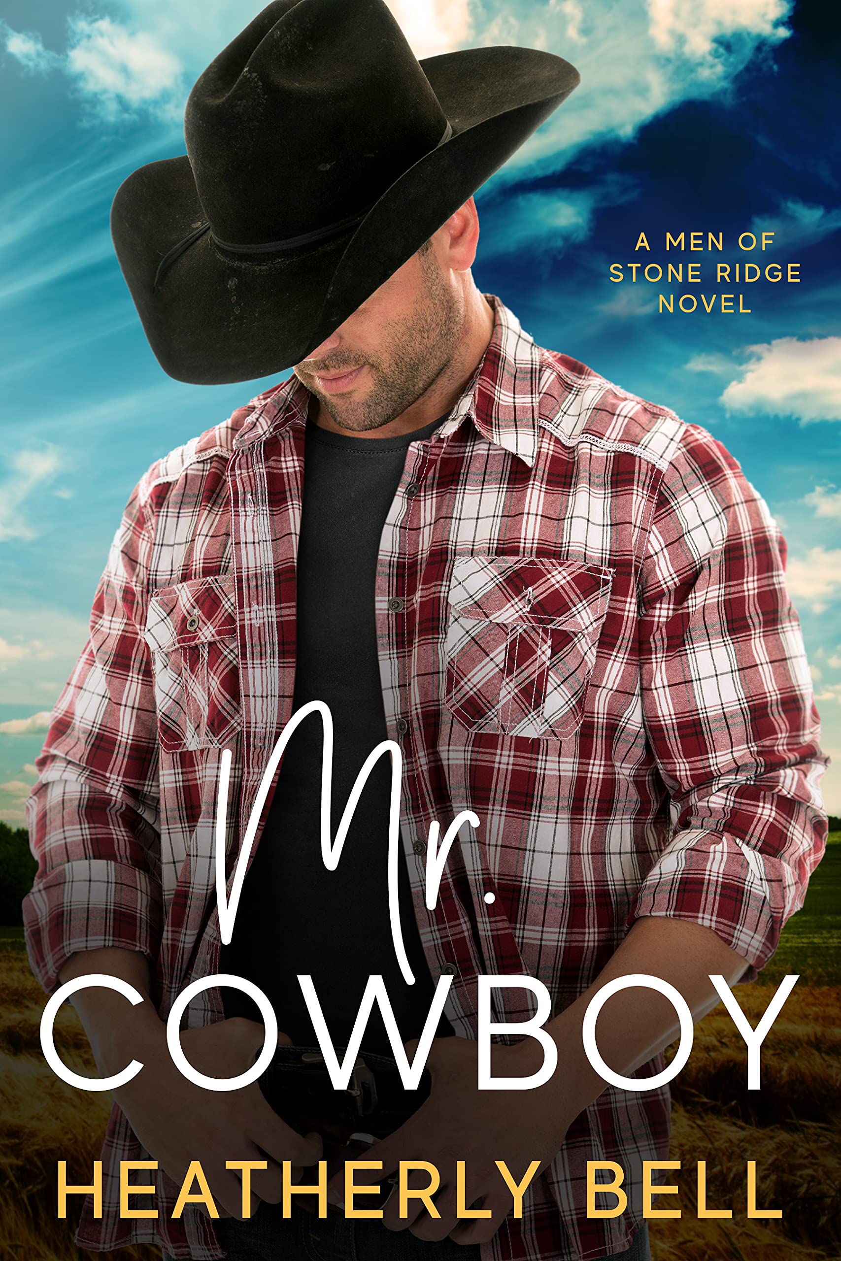 Mr. Cowboy book cover