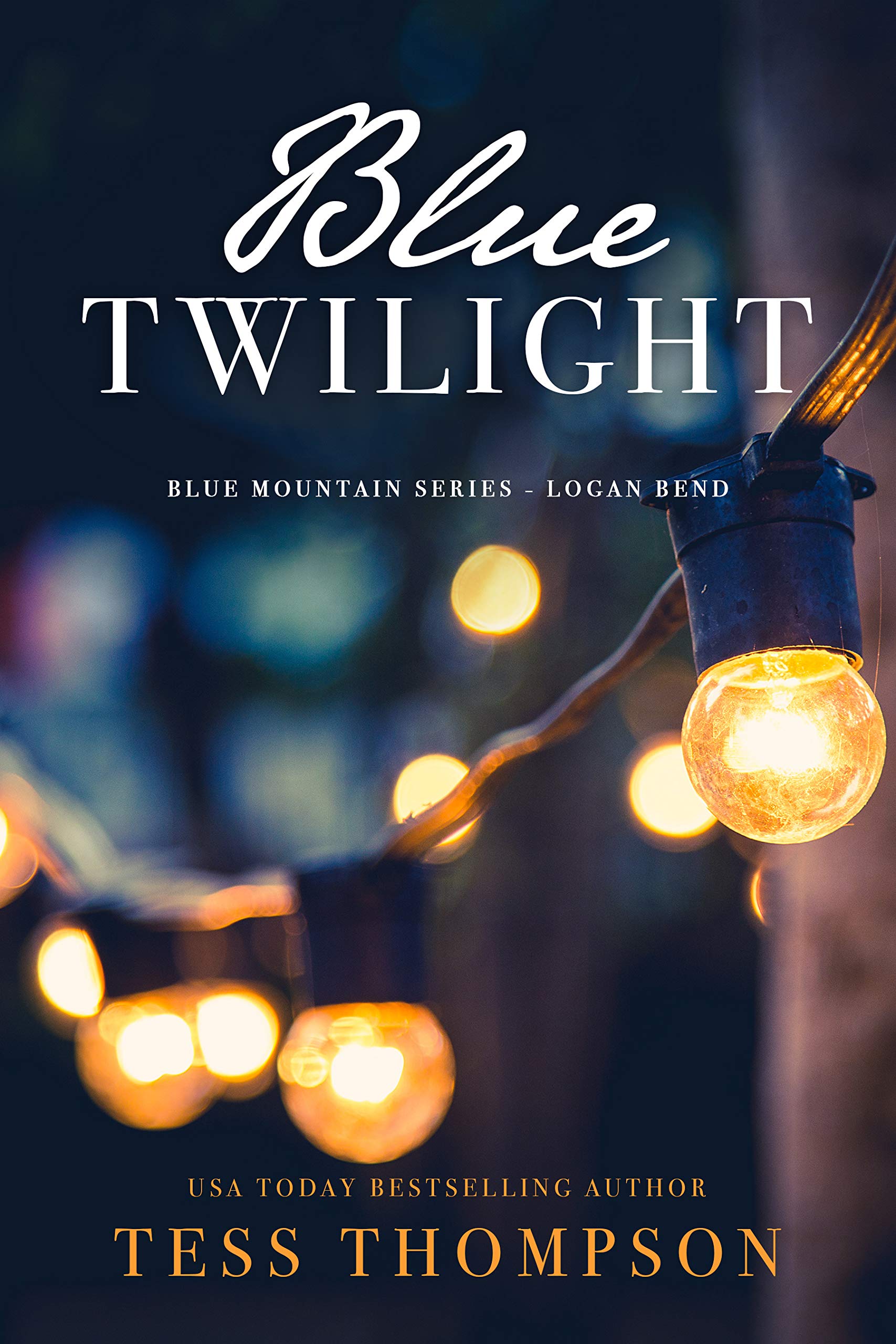 Blue Twilight book cover