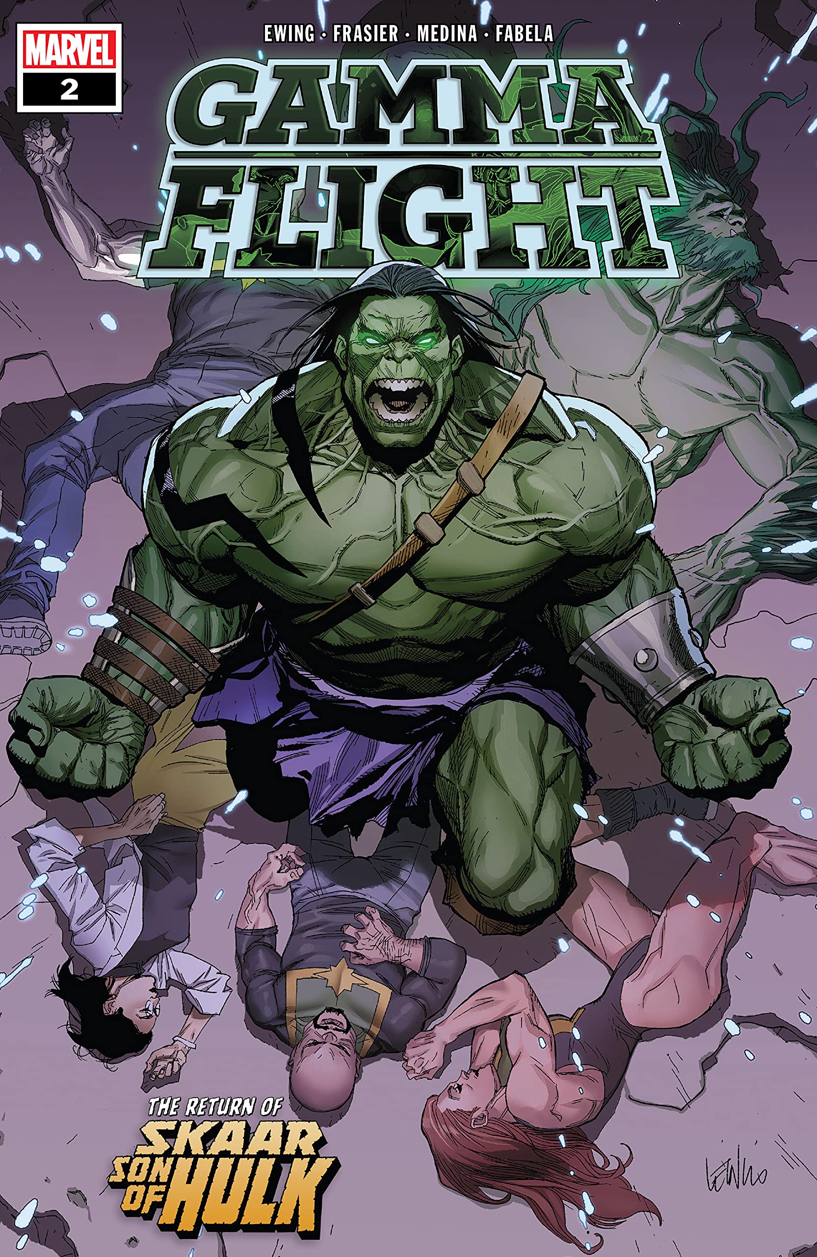 Gamma Flight book cover 2