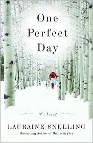 One Perfect Day book cover