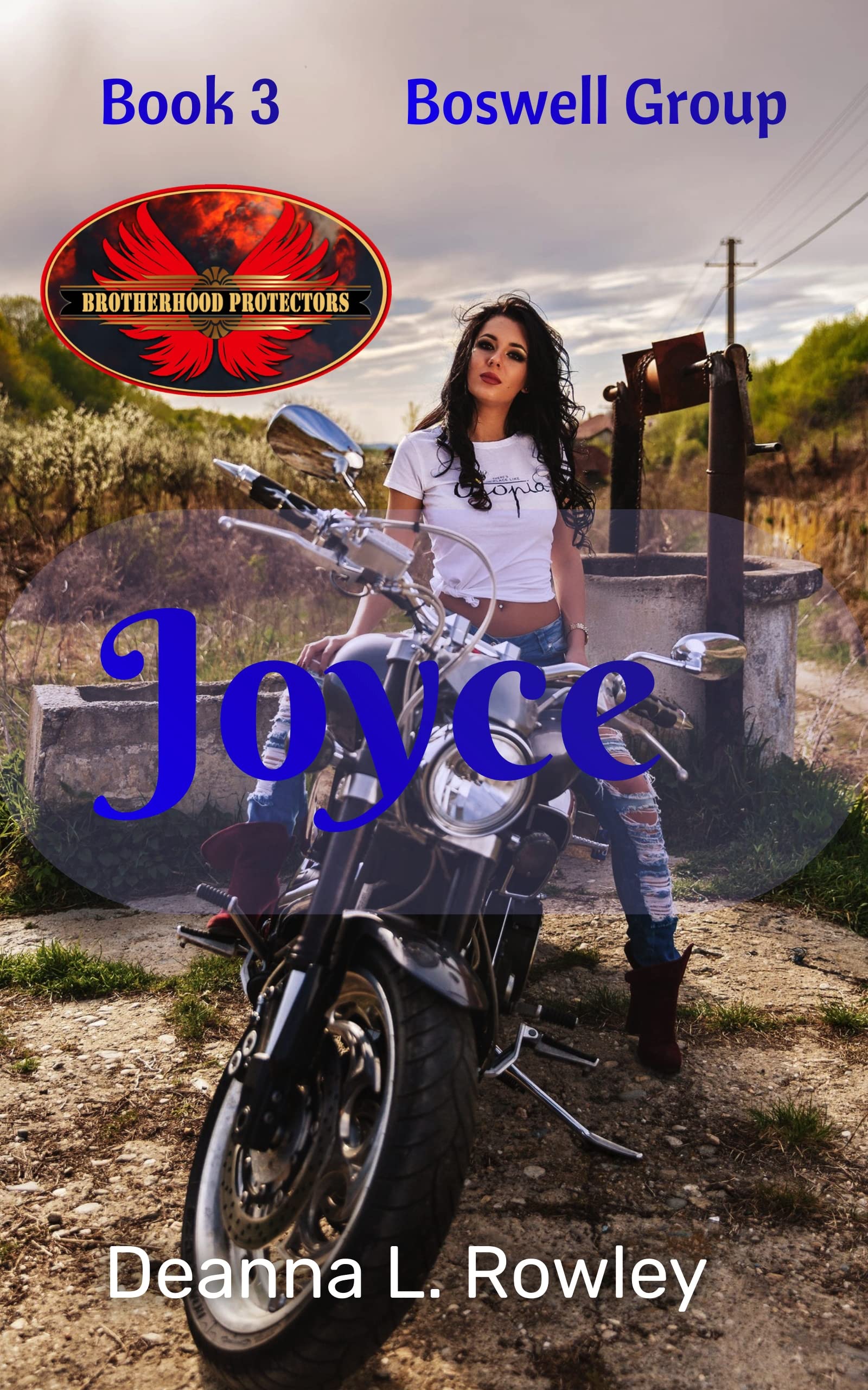 Boswell Group book cover 3
