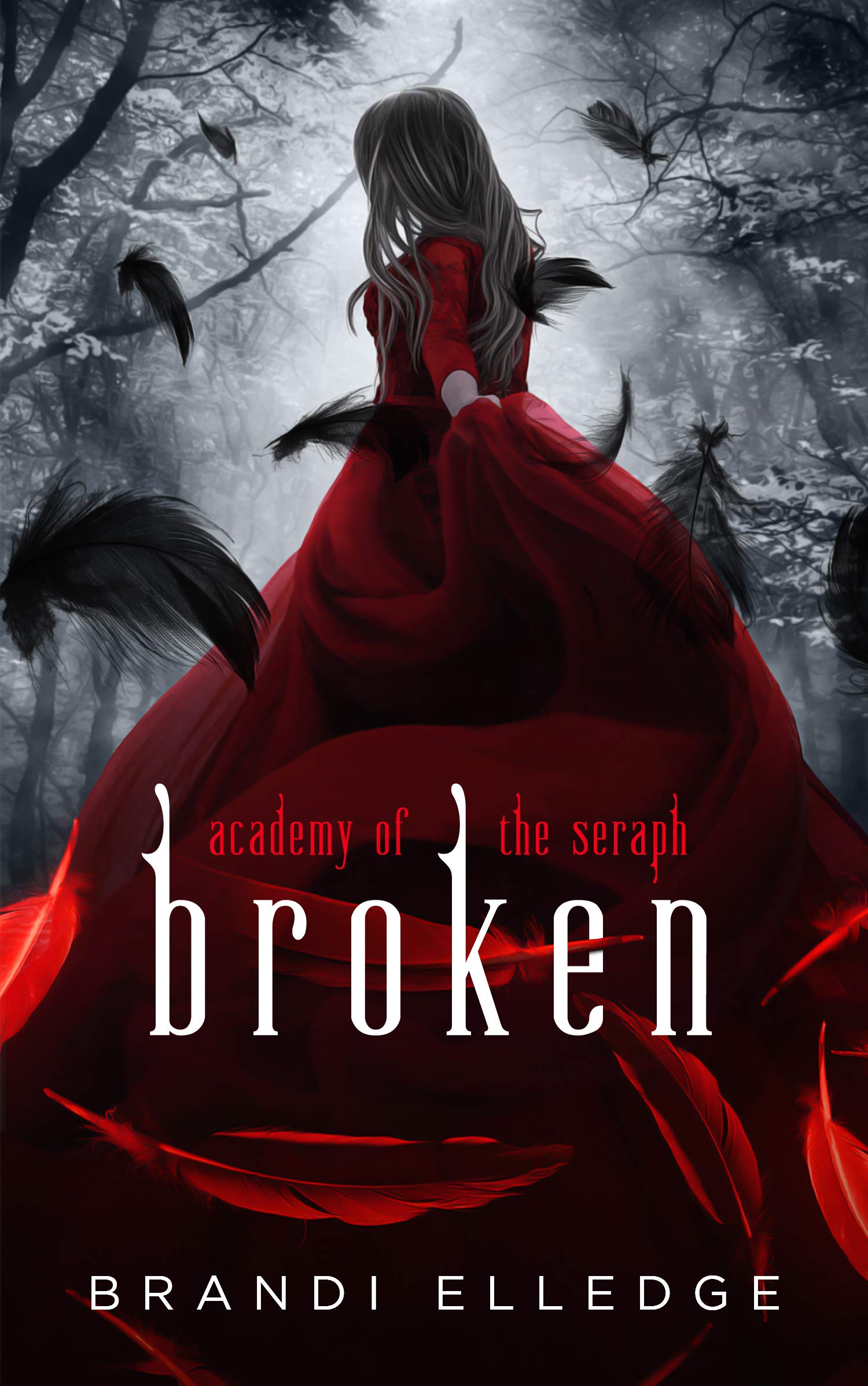 Academy of the Seraph book cover 3