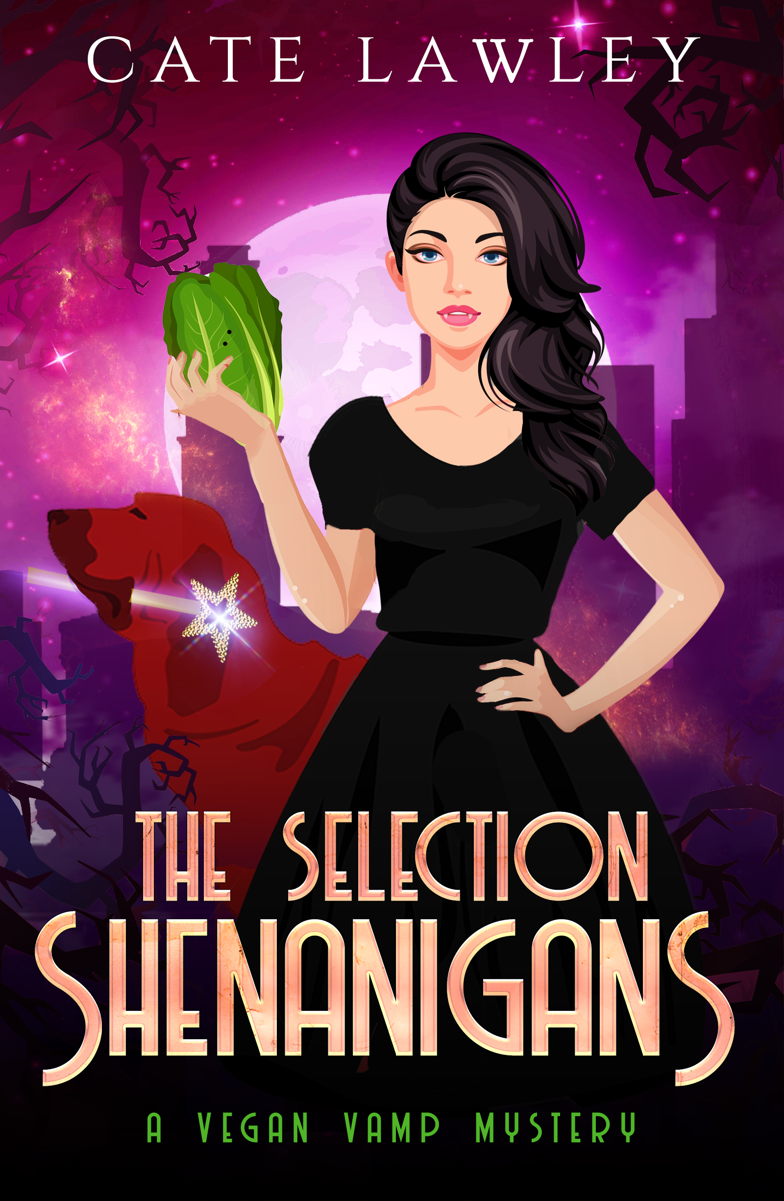 The Selection Shenanigans book cover