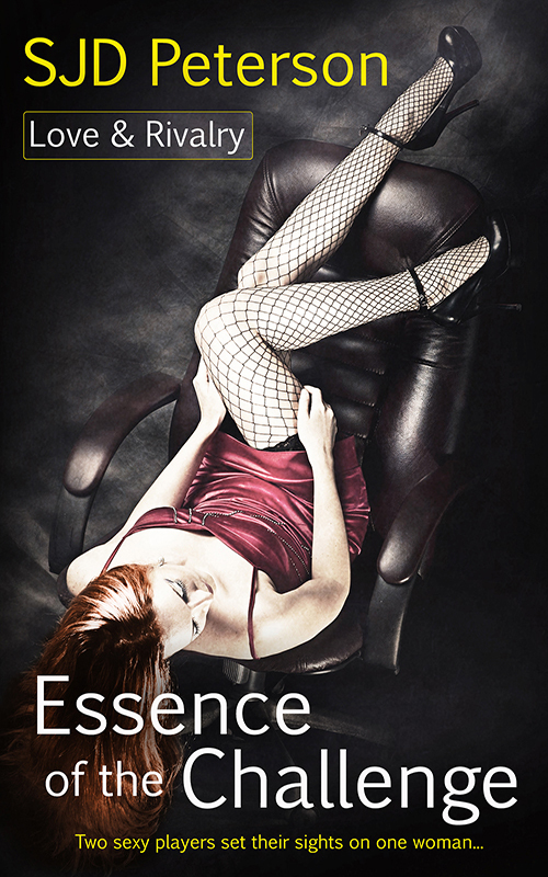 Love & Rivalry book cover 1