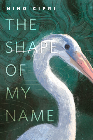 The Shape of My Name book cover
