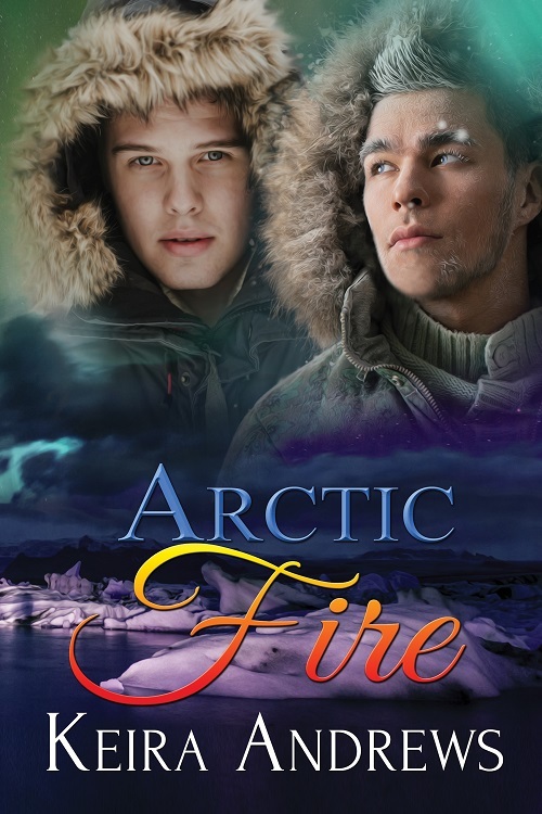 Arctic Fire book cover
