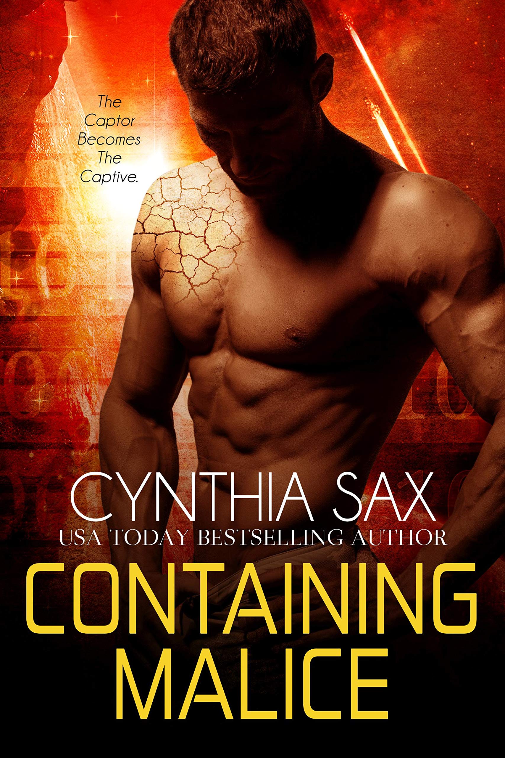 Rebel Cyborgs book cover 1