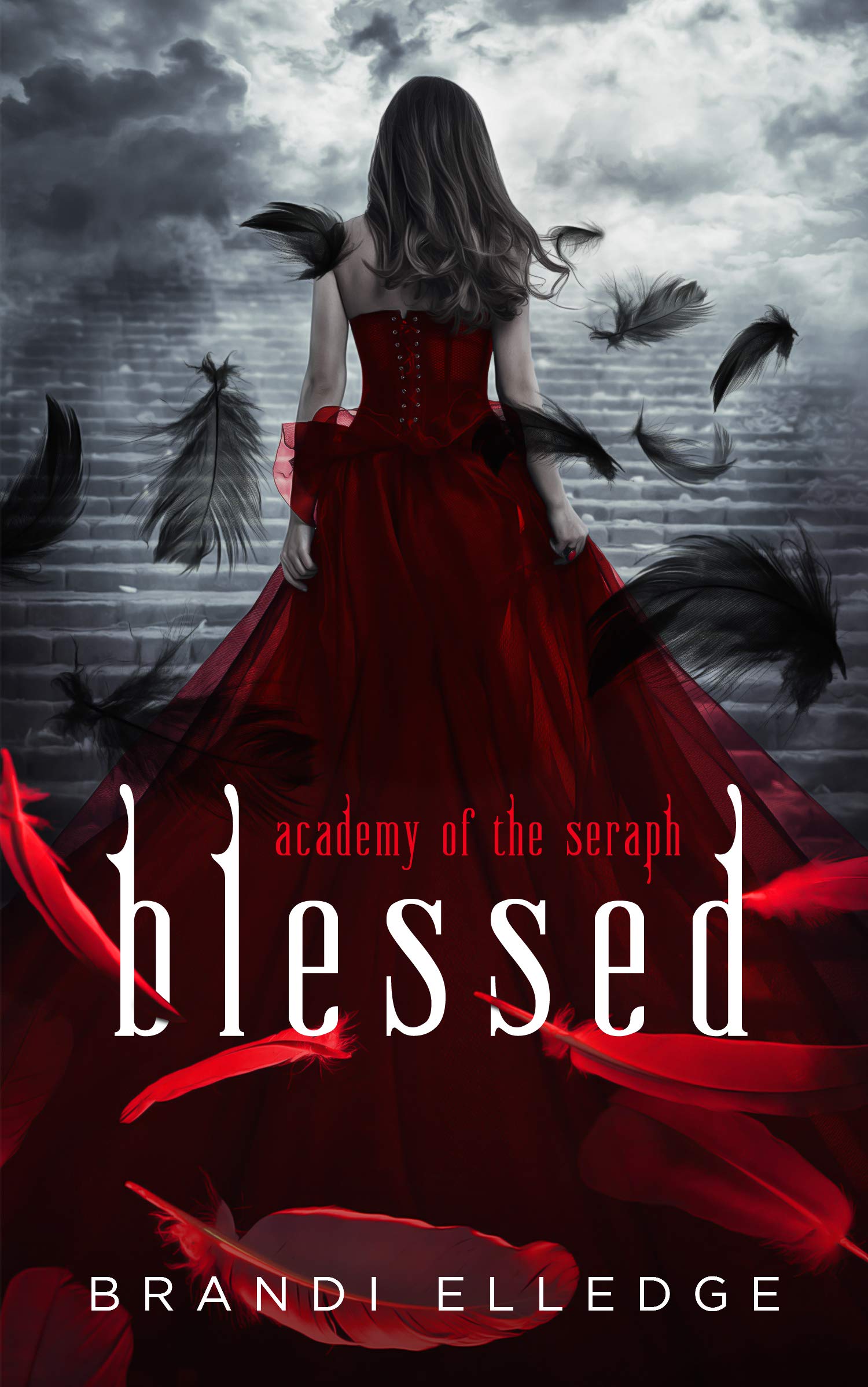 Academy of the Seraph book cover 1