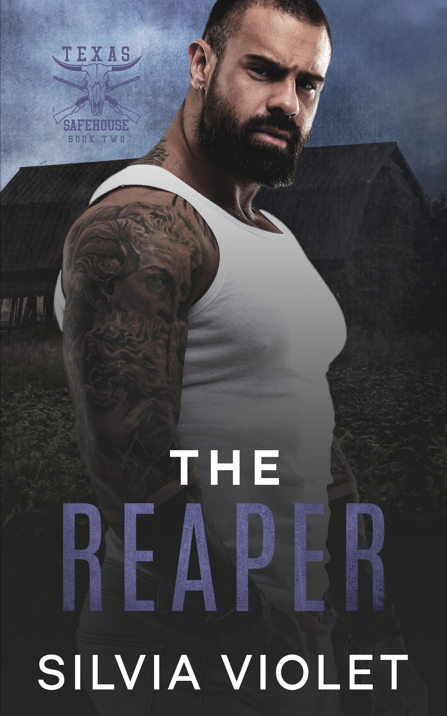 Texas Safehouse book cover 2
