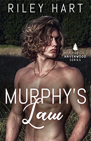 Havenwood book cover 2