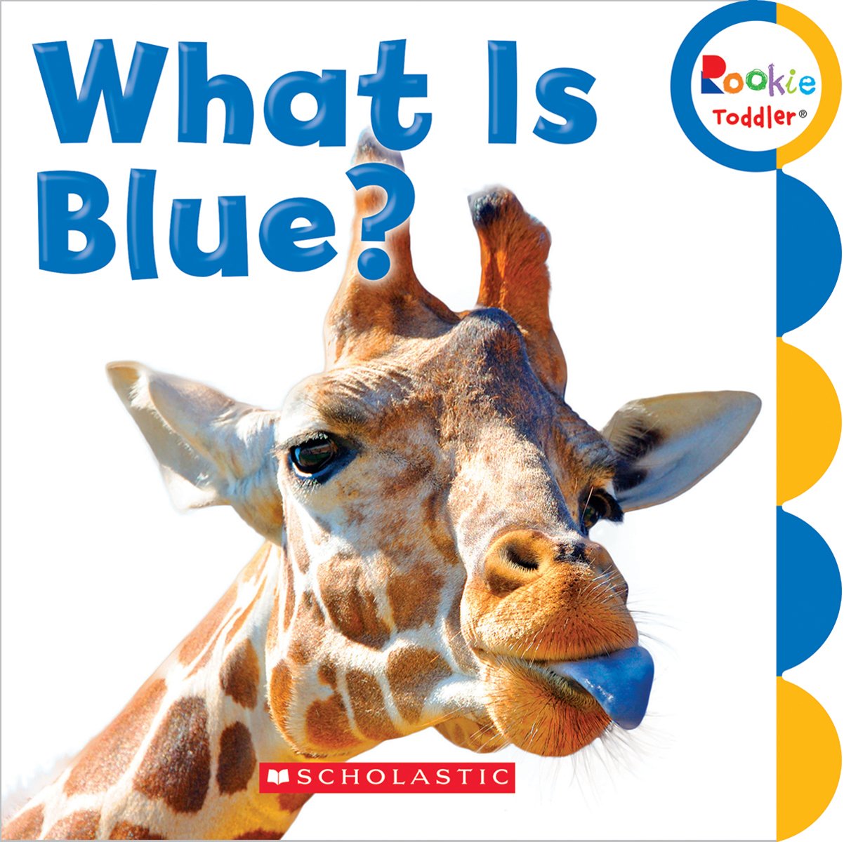 What Is Blue? book cover