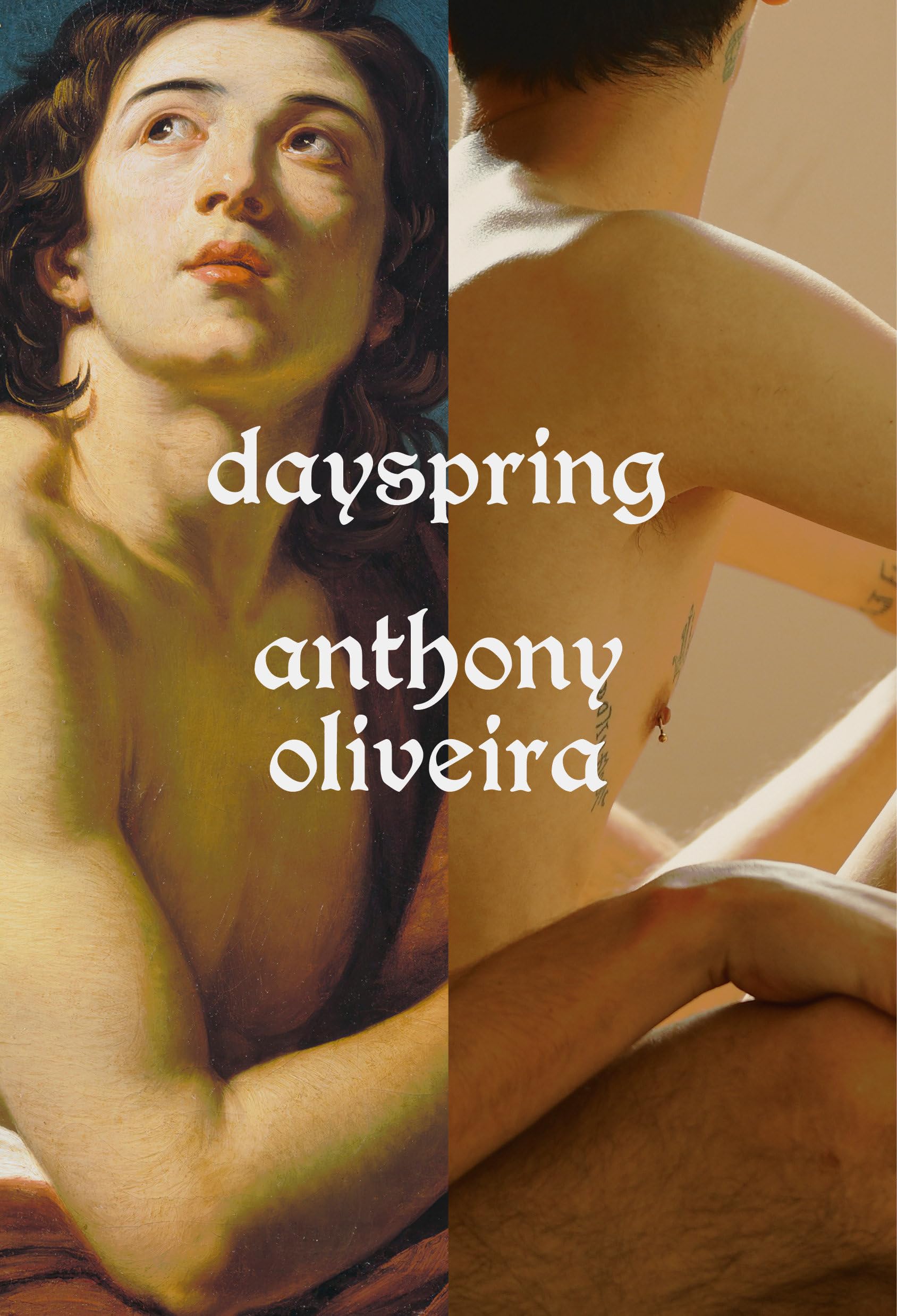 Dayspring book cover