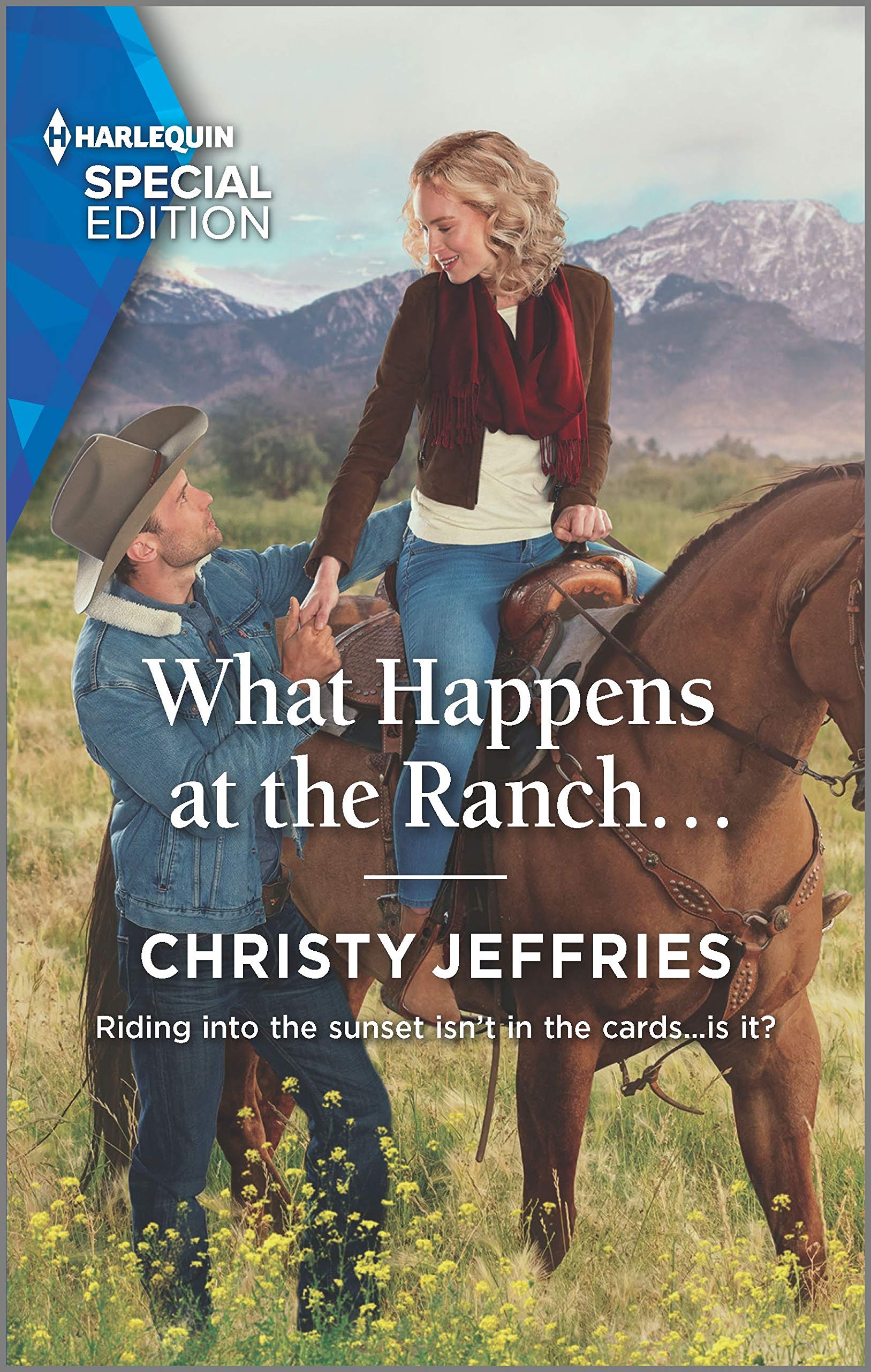 Twin Kings Ranch book cover 1