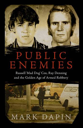 Public Enemies book cover