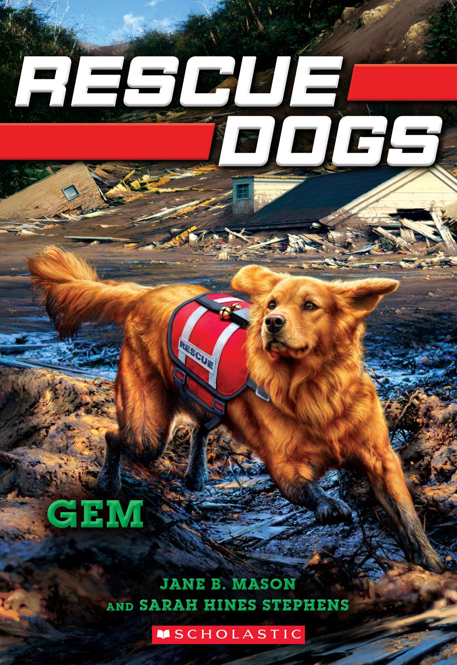 Gem book cover