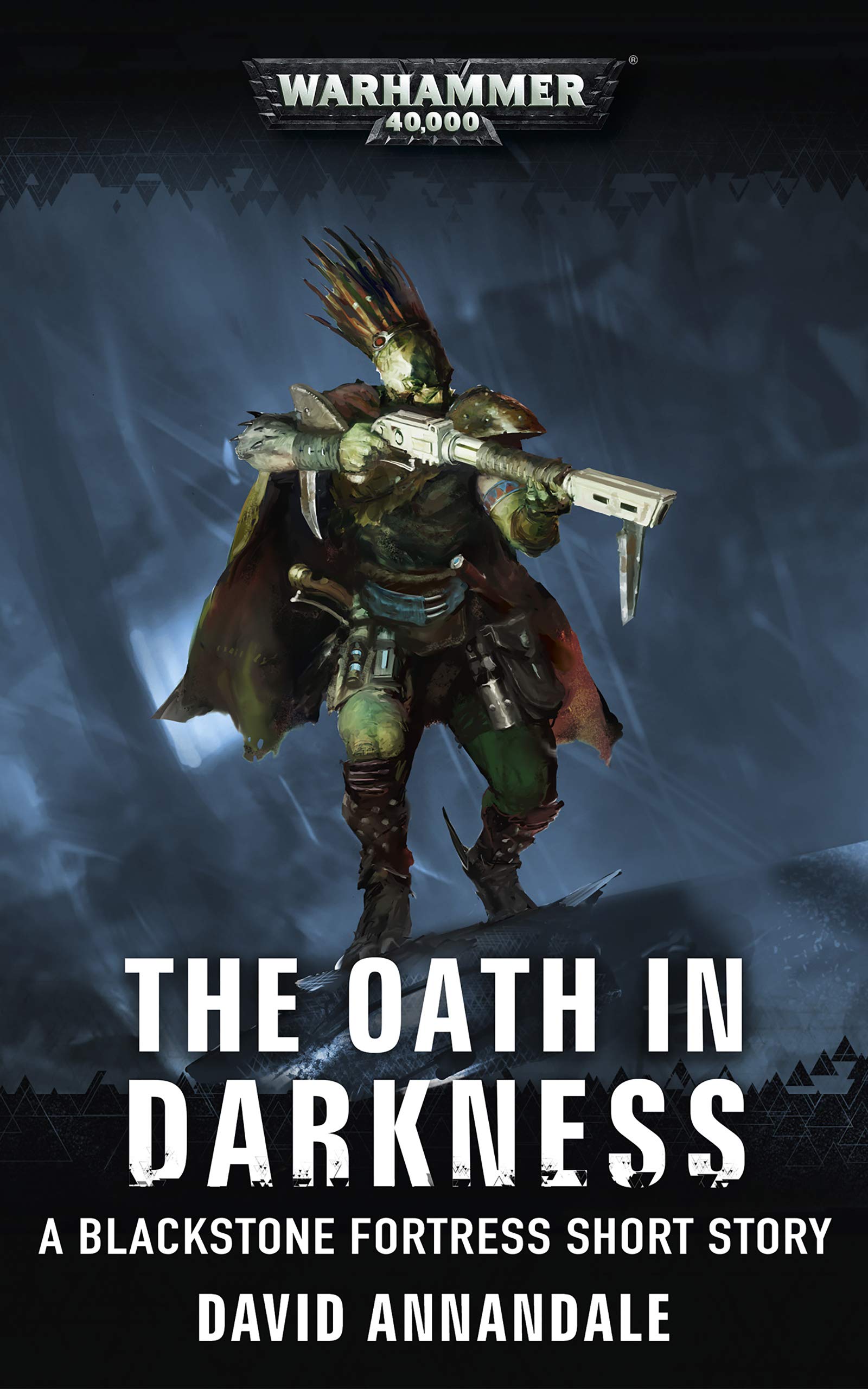 The Oath in Darkness book cover