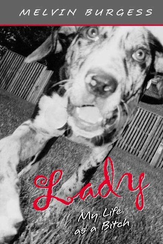 Lady book cover