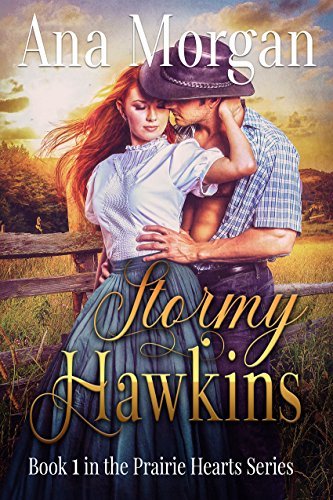 Stormy Hawkins book cover