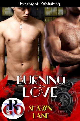 Burning Love book cover