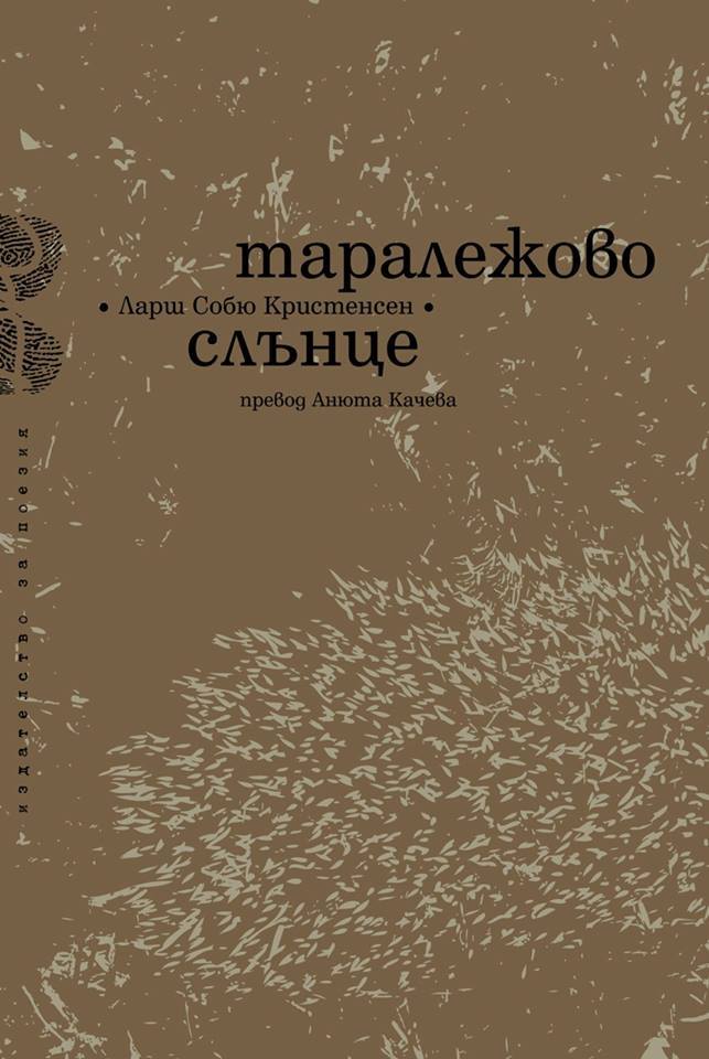 Pinnsvinsol book cover