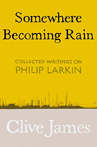 Somewhere Becoming Rain book cover