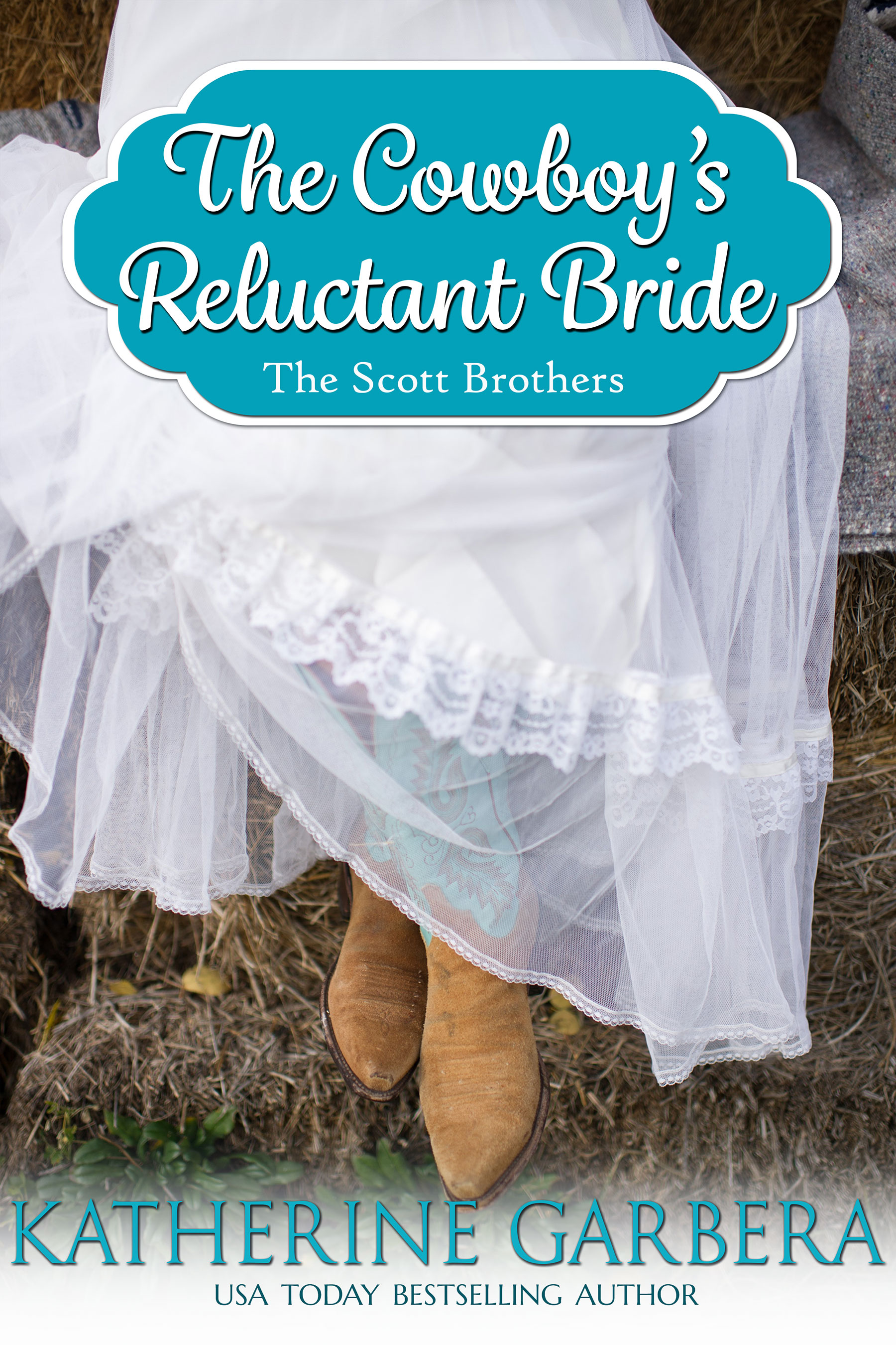 The Scott Brothers of Montana book cover 2