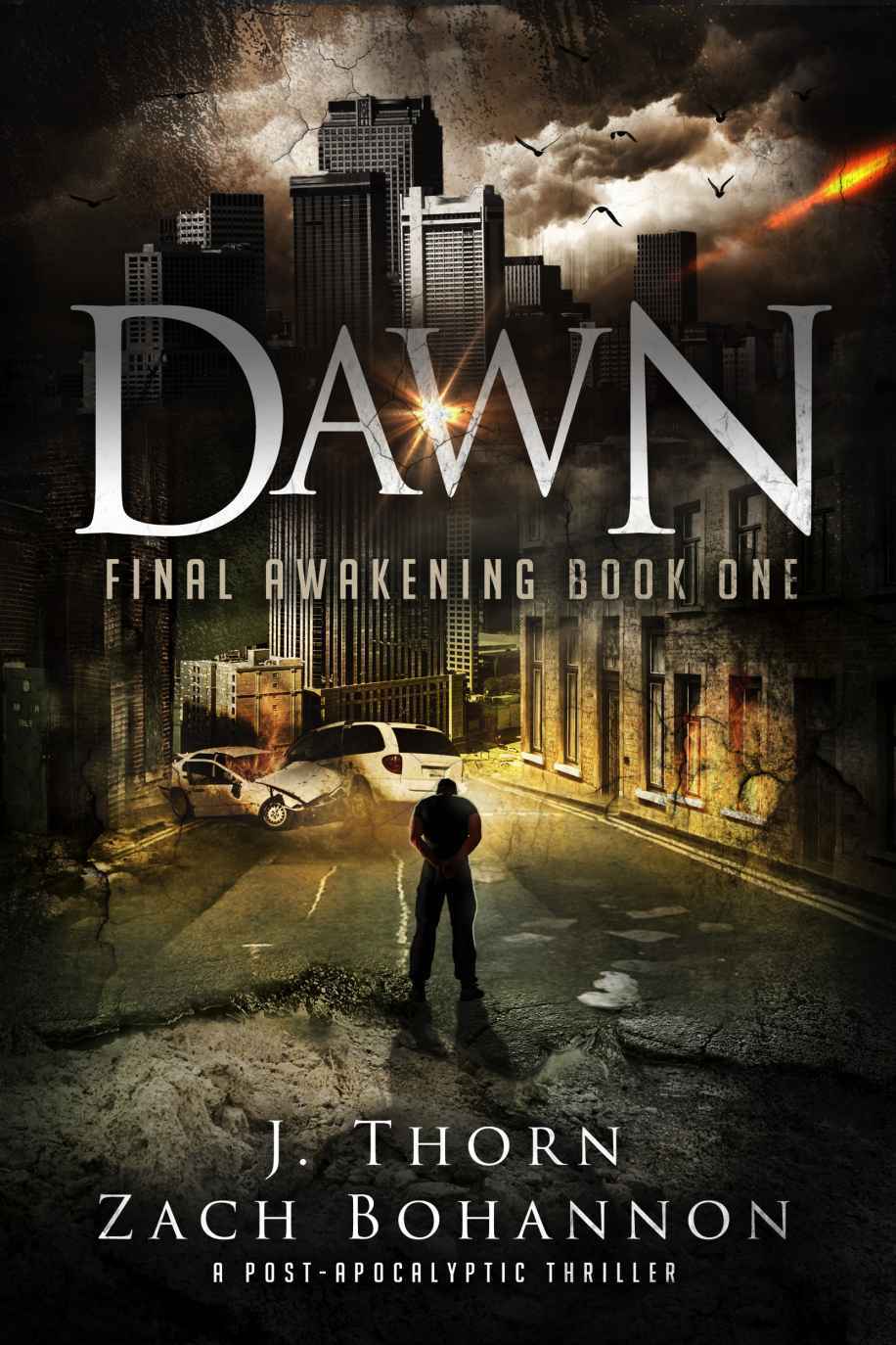 Dawn book cover