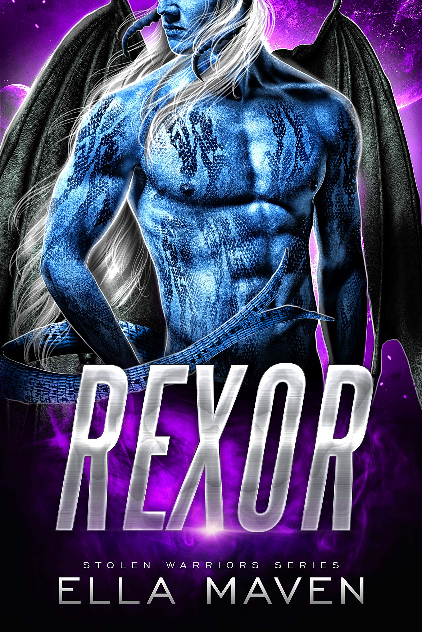 Stolen Warriors book cover 1