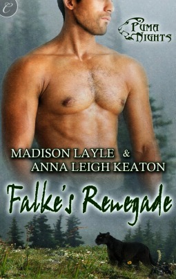 Puma Nights book cover 3