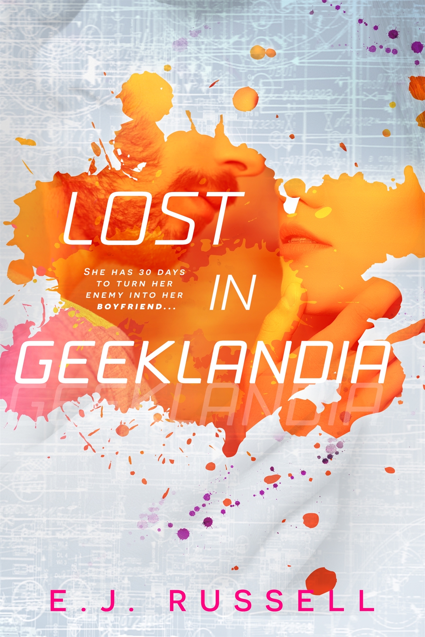 Geeklandia book cover 1