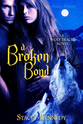 A Broken Bond book cover