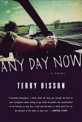 Any Day Now book cover