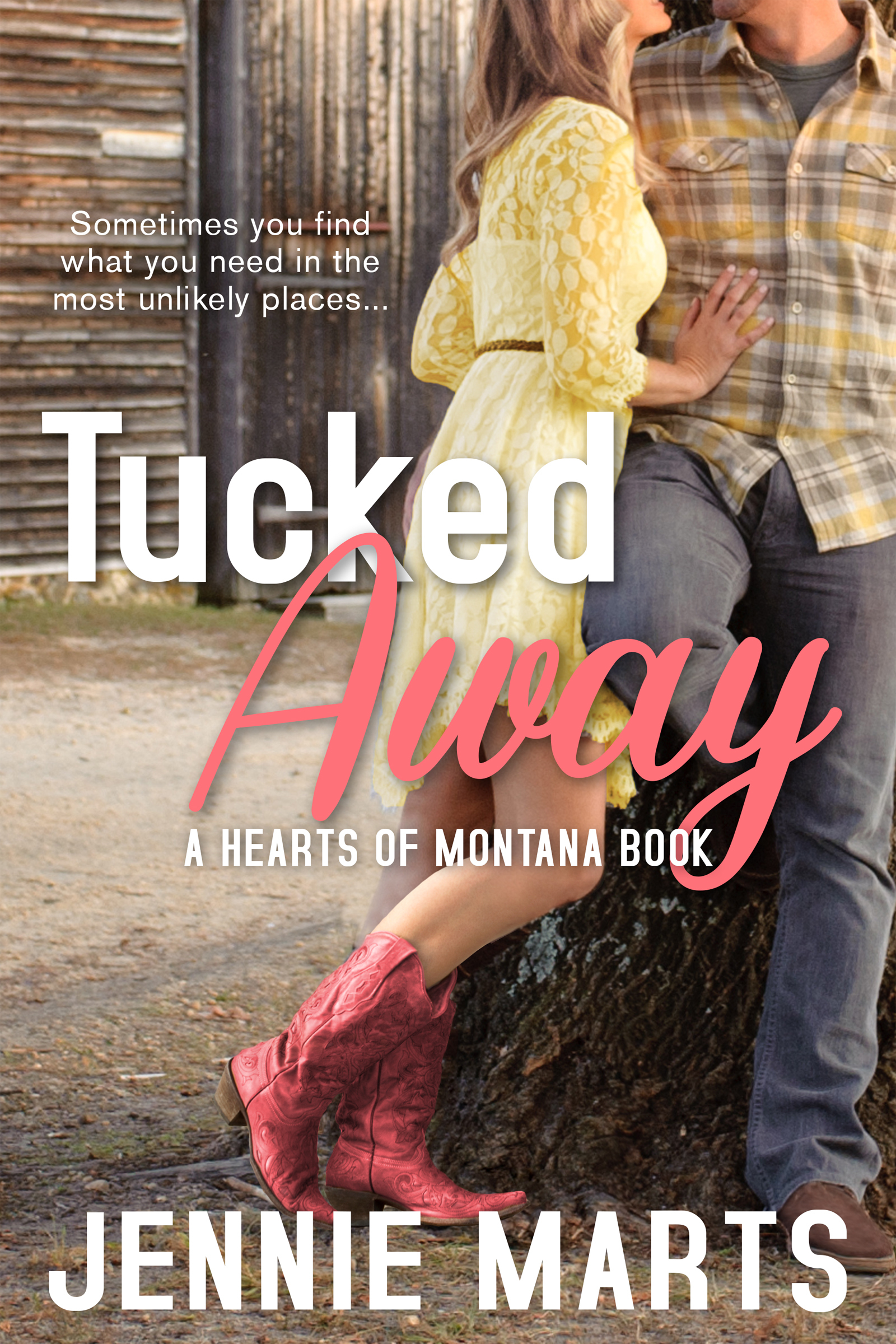 Hearts of Montana book cover 1